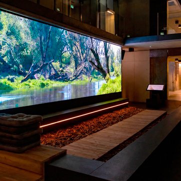 Indoor fine pitch display